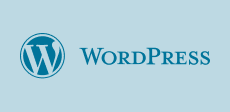 WordPress icon